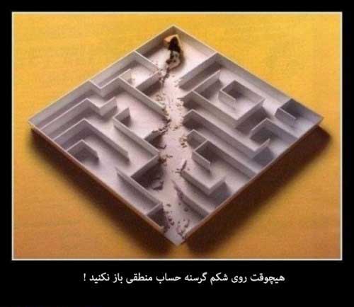 [عکس: 1327798837-parsnaz-ir.jpg]