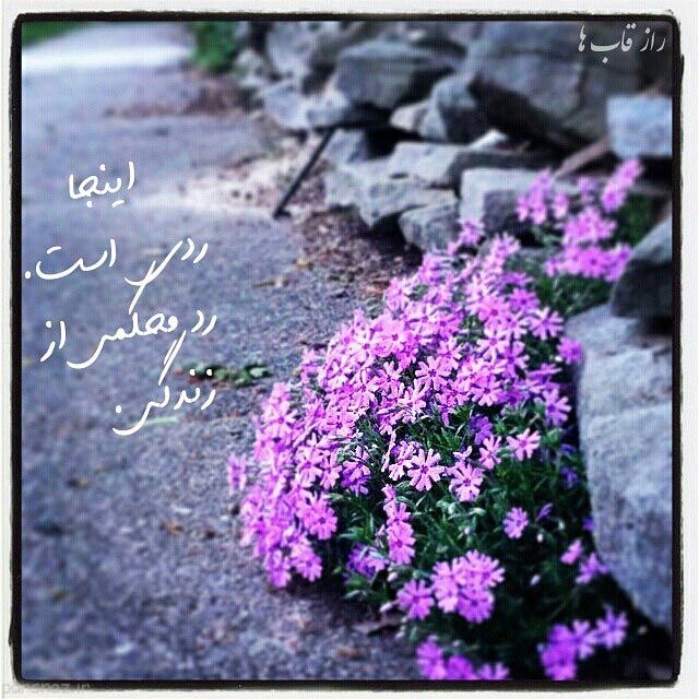 دل نوشته های زیبا و عاشقانه از بزرگان