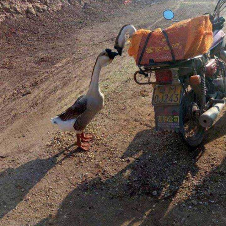 [عکس: 1533631503-parsnaz-com.jpg]