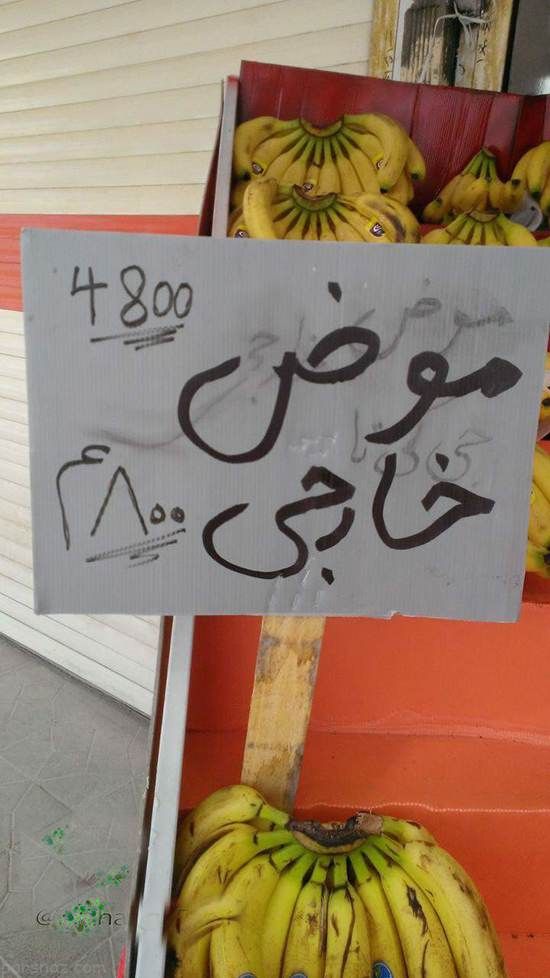 عکسهای خنده دار از سوژه های بامزه &laquo;192&raquo;