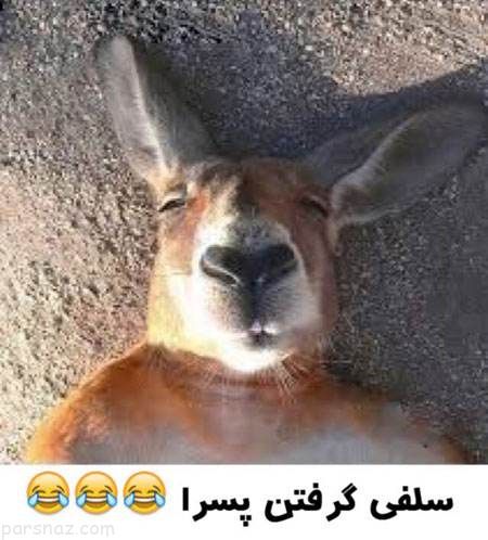 [عکس: 389046402-parsnaz-com.jpg]