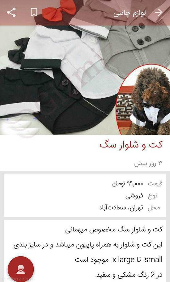 عکس های خنده دار و سوژه های روز بامزه (195)