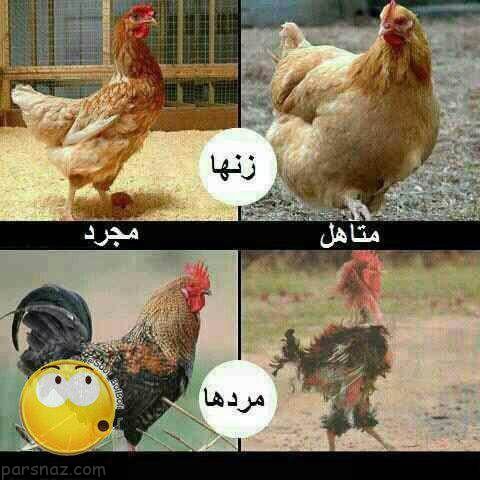 عکس های خنده دار و باحال روز برای شما (227) عکس های خنده دار و باحال روز برای شما (227)