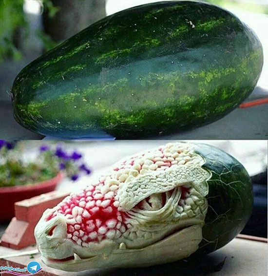 خفن ترین عکس های خنده دار روز (234) خفن ترین عکس های خنده دار روز (234)