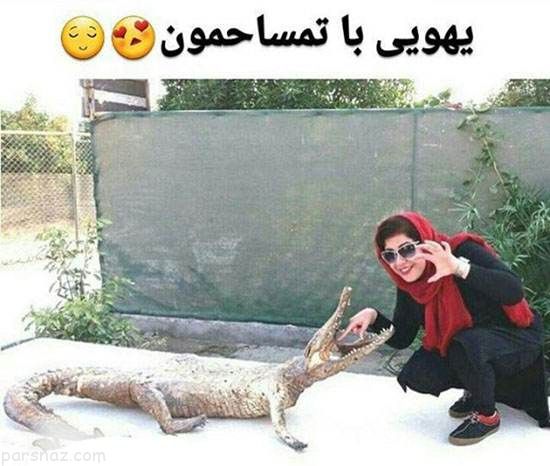 [عکس: 66727600-parsnaz-com.jpg]