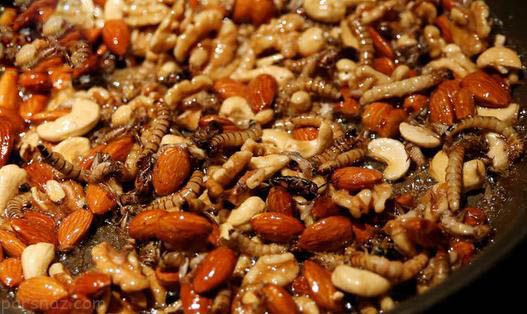 وقتی دختران ژاپنی خوراکی های چندش آور می خورند وقتی دختران ژاپنی خوراکی های چندش آور می خورند