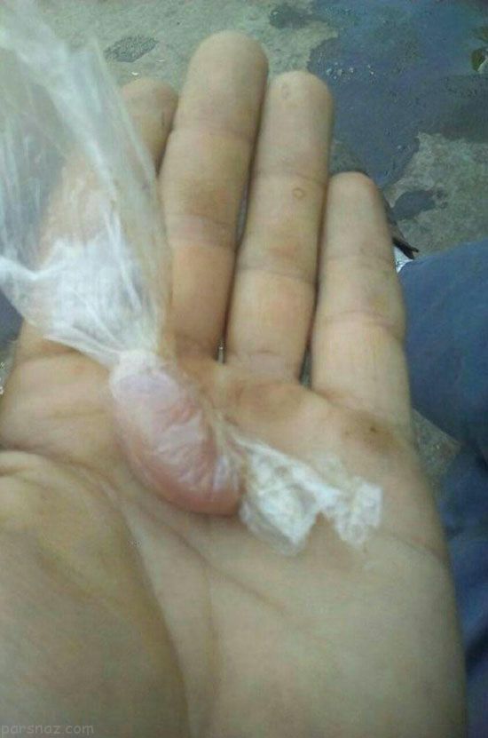 خفن ترین عکس های خنده دار و جالب روز (248) خفن ترین عکس های خنده دار و جالب روز (248)