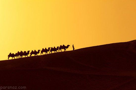 حقایق جالب و خواندنی درباره مردم مغول