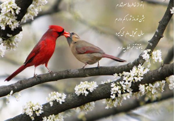 پیام تبریک عید نوروز 1398 + عکس های تبریک عید نوروز سال 98 پیام تبریک عید نوروز 1398 + عکس های تبریک عید نوروز سال 98