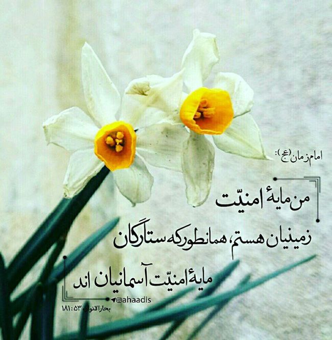 گالری عکس و متن تبریک نیمه شعبان + ولادت امام زمان حضرت مهدی (عج) گالری عکس و متن تبریک نیمه شعبان + ولادت امام زمان حضرت مهدی (عج)