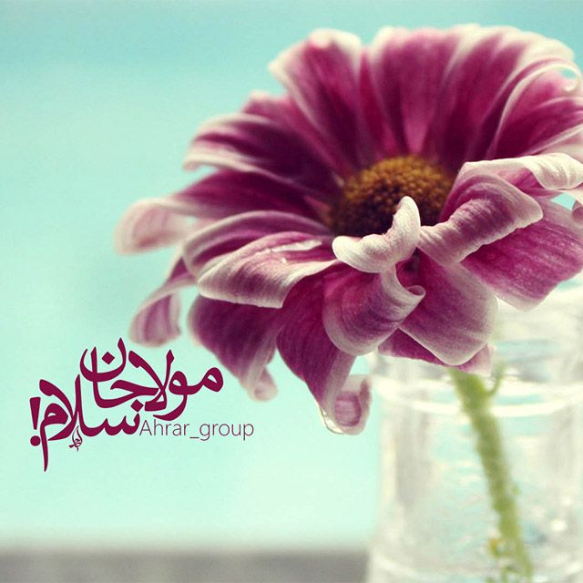 25 عکس پروفایل تبریک آغاز امامت امام زمان حضرت مهدی (عج)