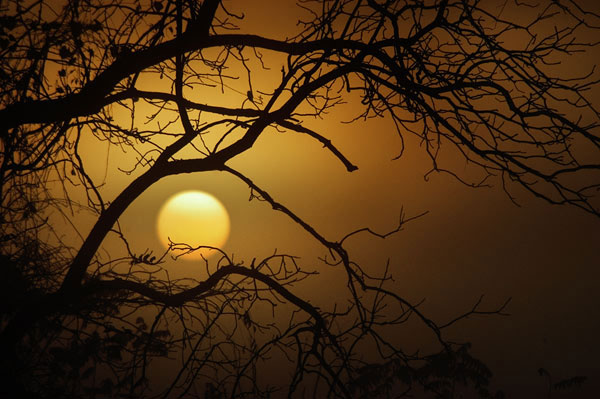 عکسهایی از طبیعت زیبای دنیا