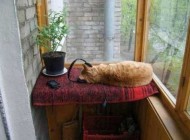 گالری عکس خنده دار از نوشته های بامزه (88)