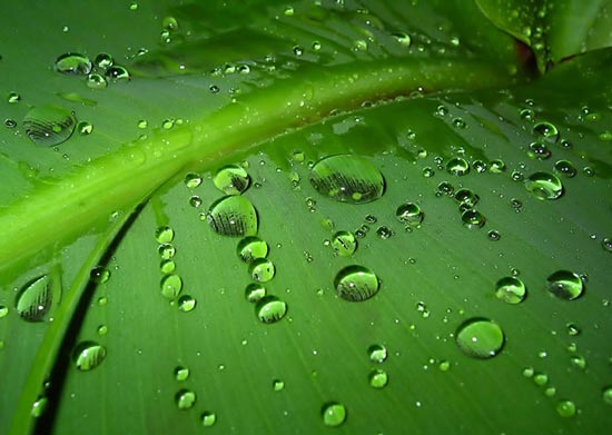 عکس های گوناگون از طبیعت زیبای جهان
