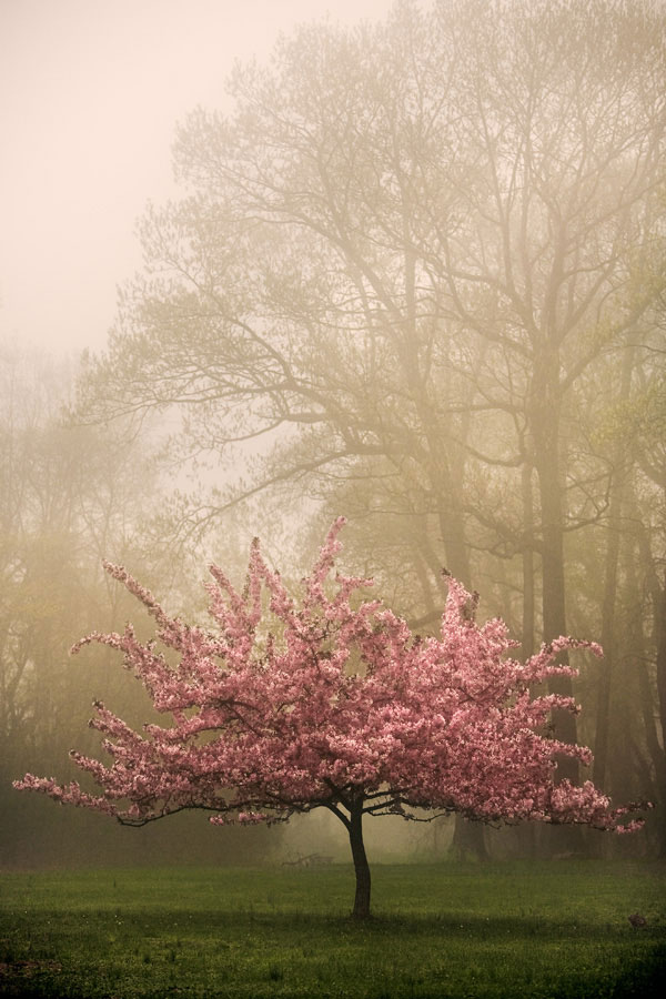 عکسهایی از طبیعت زیبای دنیا