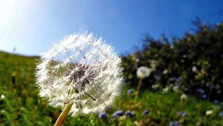 عکس های دیدنی روز (14)