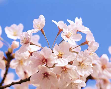 عکس های دیدنی روز (14)