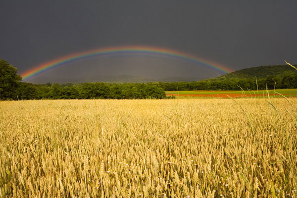 عکسهایی از طبیعت زیبای دنیا
