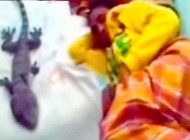 خبر جنجالی زنی که سوسمار به دنیا آورد + عکس