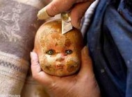 عکس هایی از بیمارستان مشهور عروسک‌ ها در استرالیا