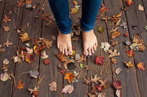 تصاویر ویژه عاشقانه و فانتزی فصل پاییز