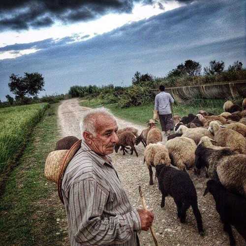 عکس های دیدنی و زیبا از ایران و زندگی شیرین ایرانی