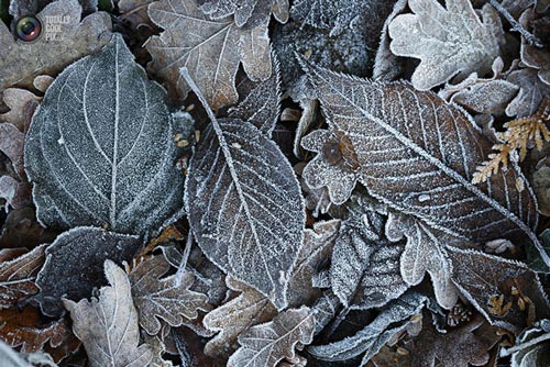عکس های دل انگیز از طبیعت زیبای پاییزی