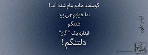 عکس نوشته های عاشقانه و عرفانی - سری 9