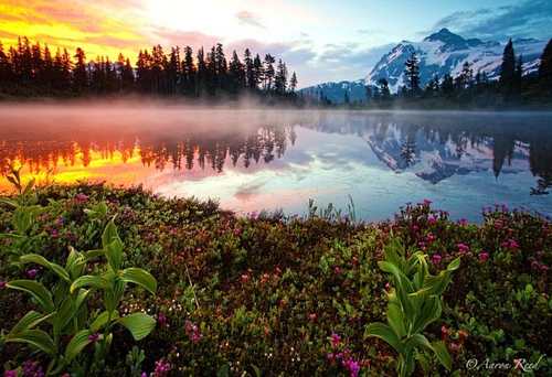 عکس های دیدنی از آینه ای زیبا از طبیعت
