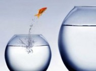 10 قدم مناسب برای رسیدن به موفقیتی بزرگ در زندگی