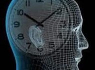 ساعت بیولوژیک بدن چطور کار می کند؟