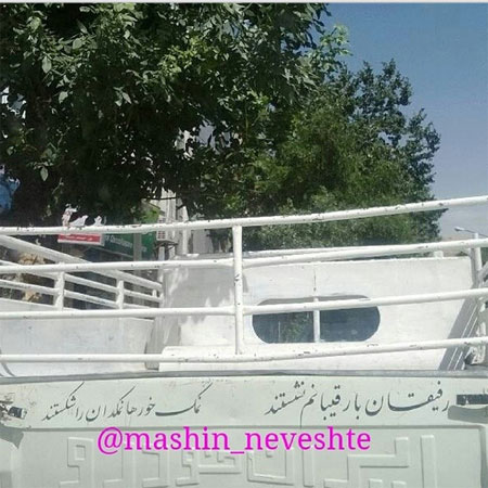 جمله‌های جالب پشت وانتی!