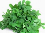 گیاهان دارویی مناسب برای درمان سرفه