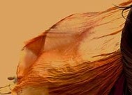 بیوگرافی آنا نعمتی +عکس