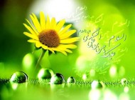 سری جدید کارت پستال ولادت امام حسن عسگری (ع)