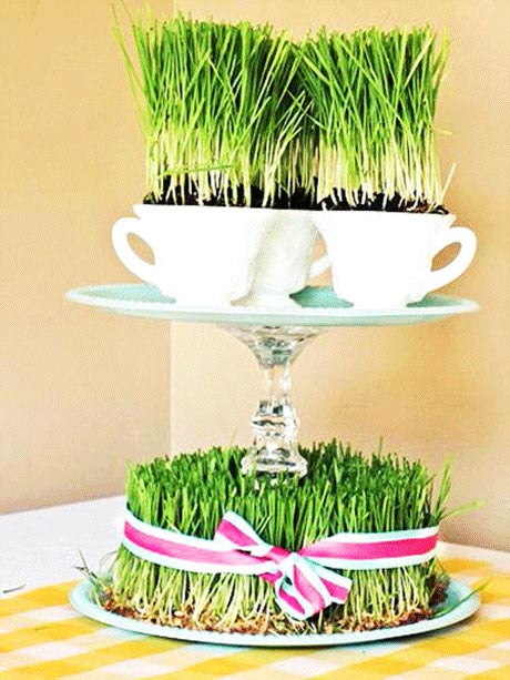 نمونه های جدید مدل سبزه عید 1402 با زیباترین طرح ها