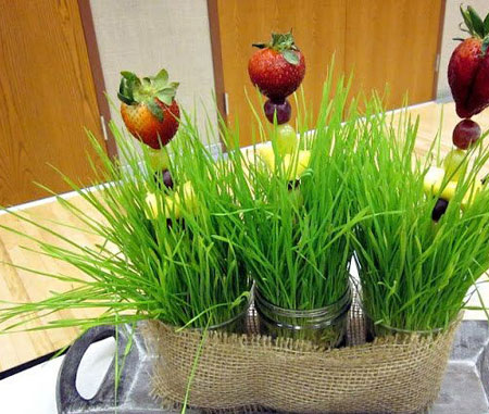 جدیدترین مدل های سبزه هفت سین ۱۴۰۲ برای عید نوروز 1402