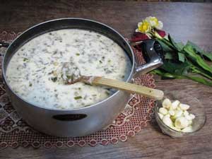 نحوه تهیه آش دوغ اصل اردبیل