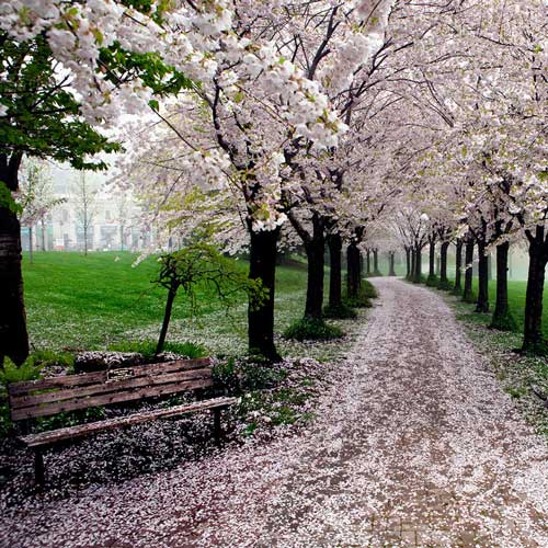 عکس های دیدنی مسیرهای رویایی برای پیاده روی