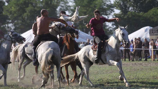 فستیوالی جالب در مجارستان با حضور سوارکاران حرفه ای