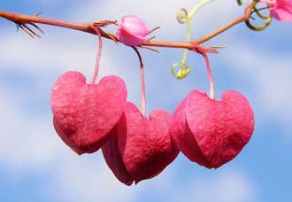 دعایی برای آشتی بین زن و شوهر لجباز
