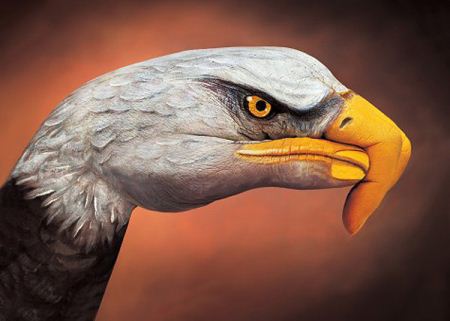 نقاشی های خارق العاده روی دستان زیبا