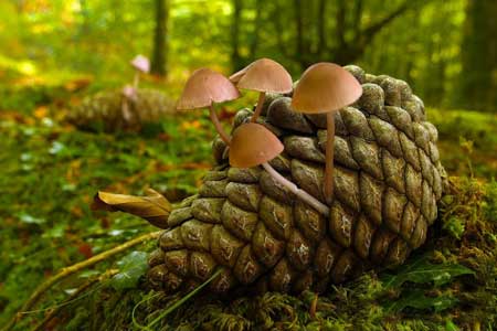 آشنایی با پارکی زیبا در اسپانیا