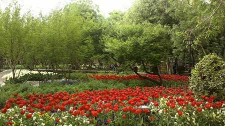 تصاویر زیبا از باغ ایرانی در تهران