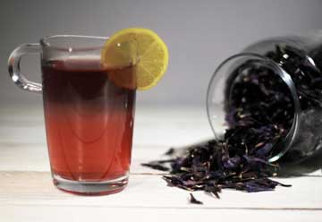 گل گاو زبان راه درمان سرفه