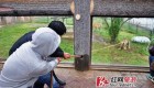 مسابقه طناب کشی با حیوانات در باغ وحش