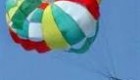 خر 18 مشهور پرنده ایست قلبی کرد