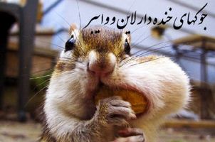 جدیدترین جوک های خنده دار شبکه های اجتماعی 2015