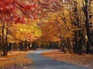 آشنایی با بهشت گمشده گرگان