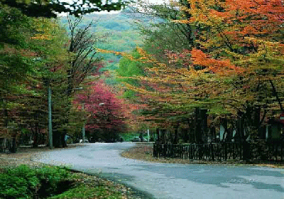 آشنایی با بهشت گمشده گرگان